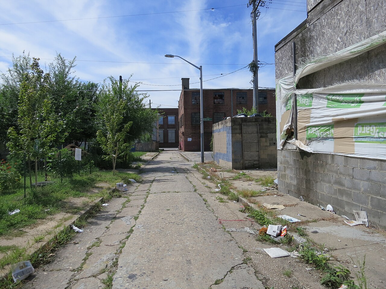 A Baltimore back alley with cans, a source of commercial rodent pressure