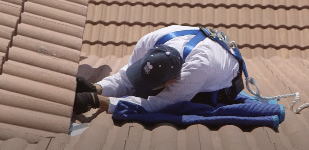 A pest control worker inspecting a roof while wearing safety harness – Rodent Control in Baltimore.
