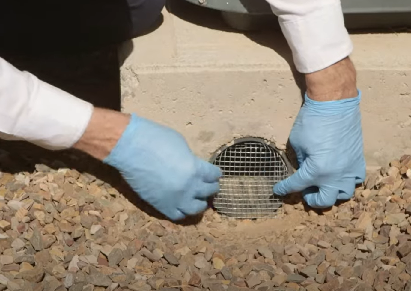 Hands with blue gloves installing mesh over a foundation vent – Rodent Control in Baltimore.
